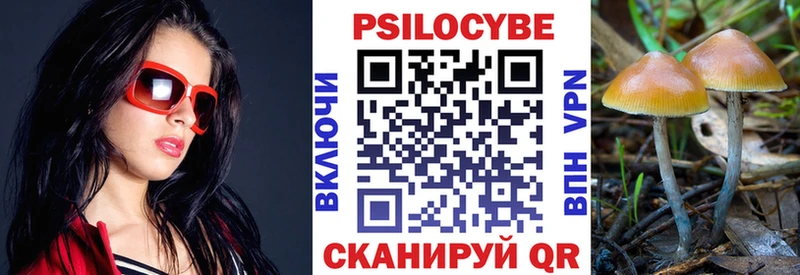 где купить наркоту  Плавск  Галлюциногенные грибы Psilocybine cubensis 